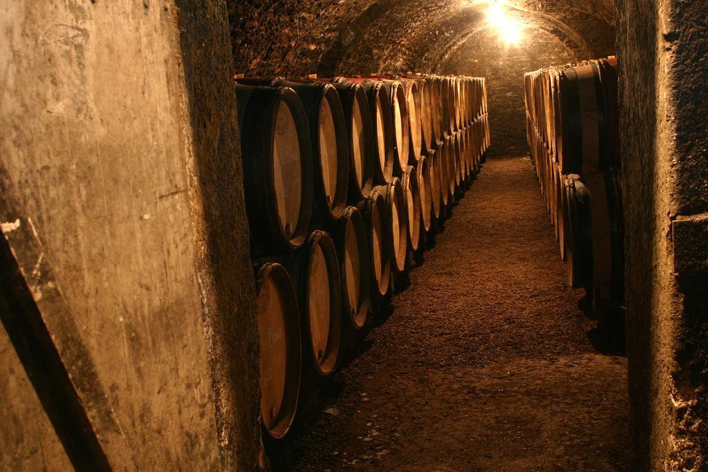 Maison D'Hotes Chandon De Briailles Savigny-les-Beaune Ngoại thất bức ảnh